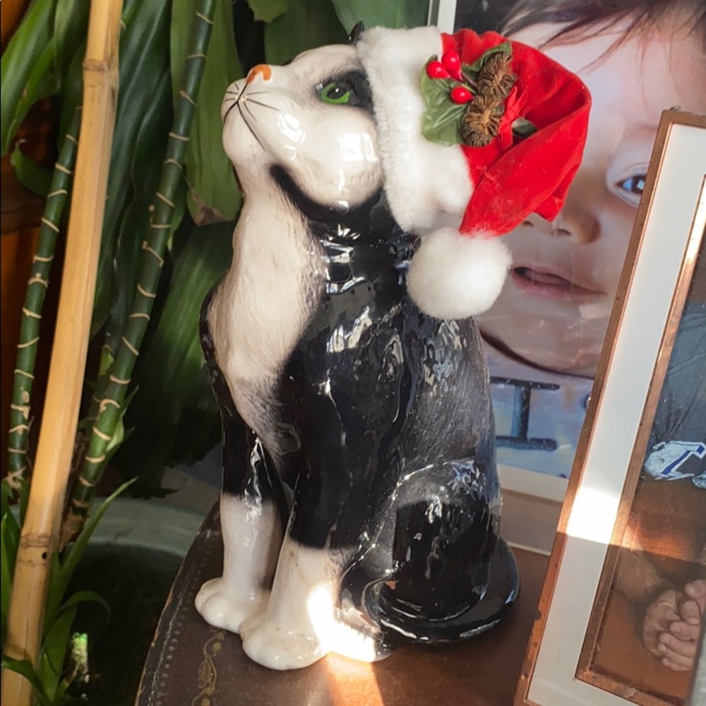 Meet your Posher, Ana